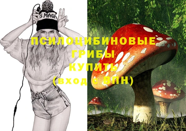 spice Абдулино
