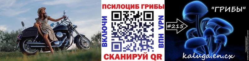 mega как зайти  Сурск  Псилоцибиновые грибы ЛСД 